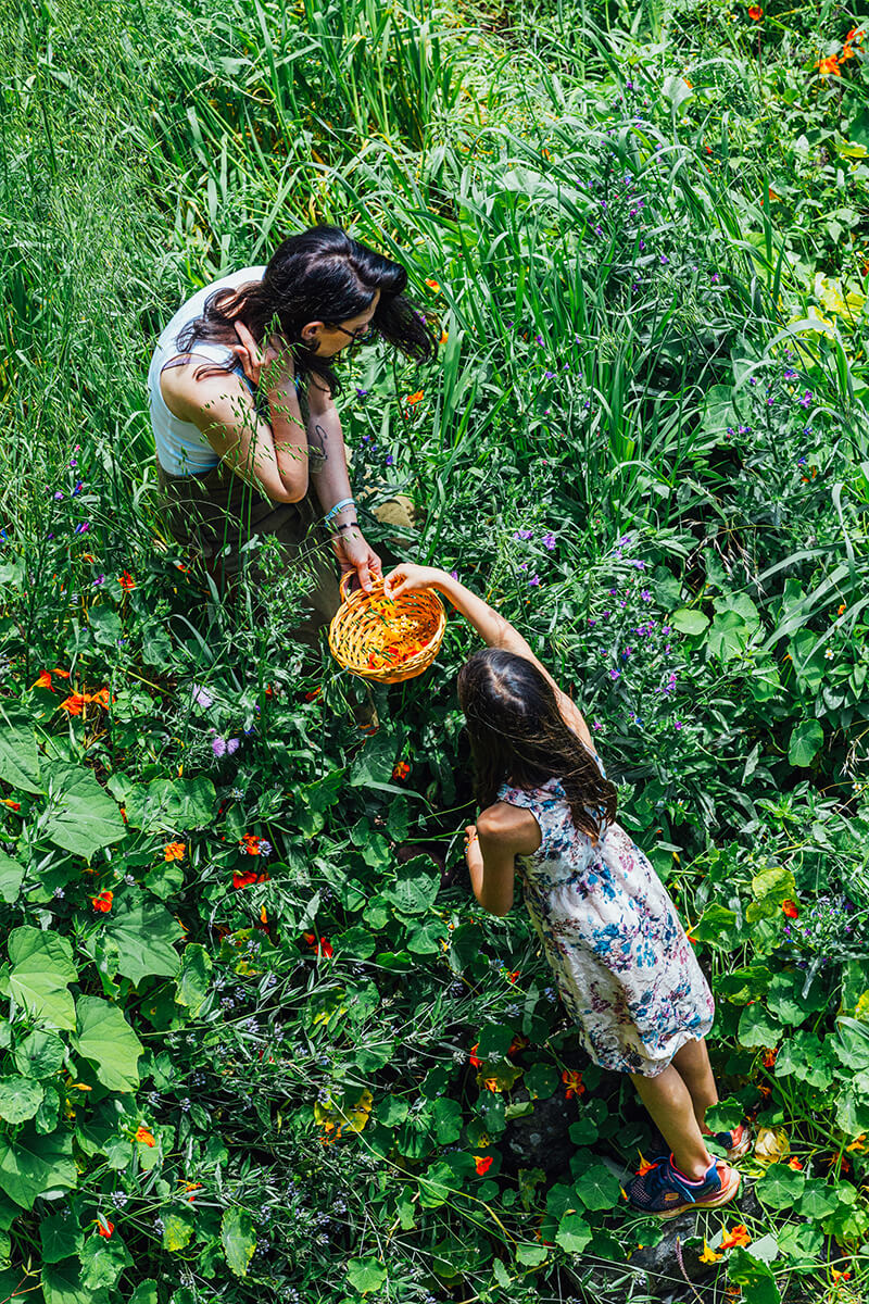Mutter mit Kind beim Ernten im Garten – authentisches Storytelling-Foto mit natürlicher Nähe